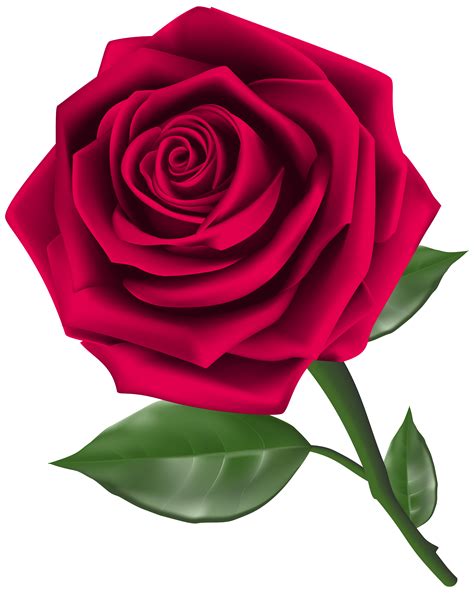 rose clipart